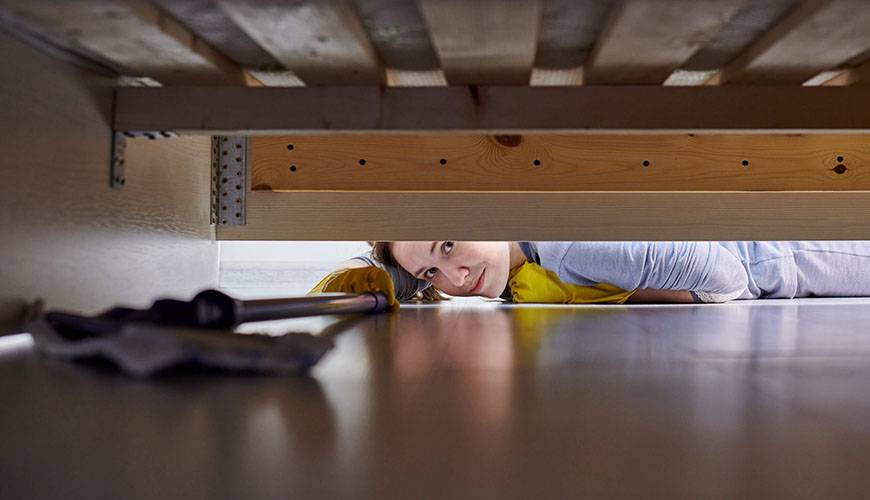 Пять простых способов удаления пыли